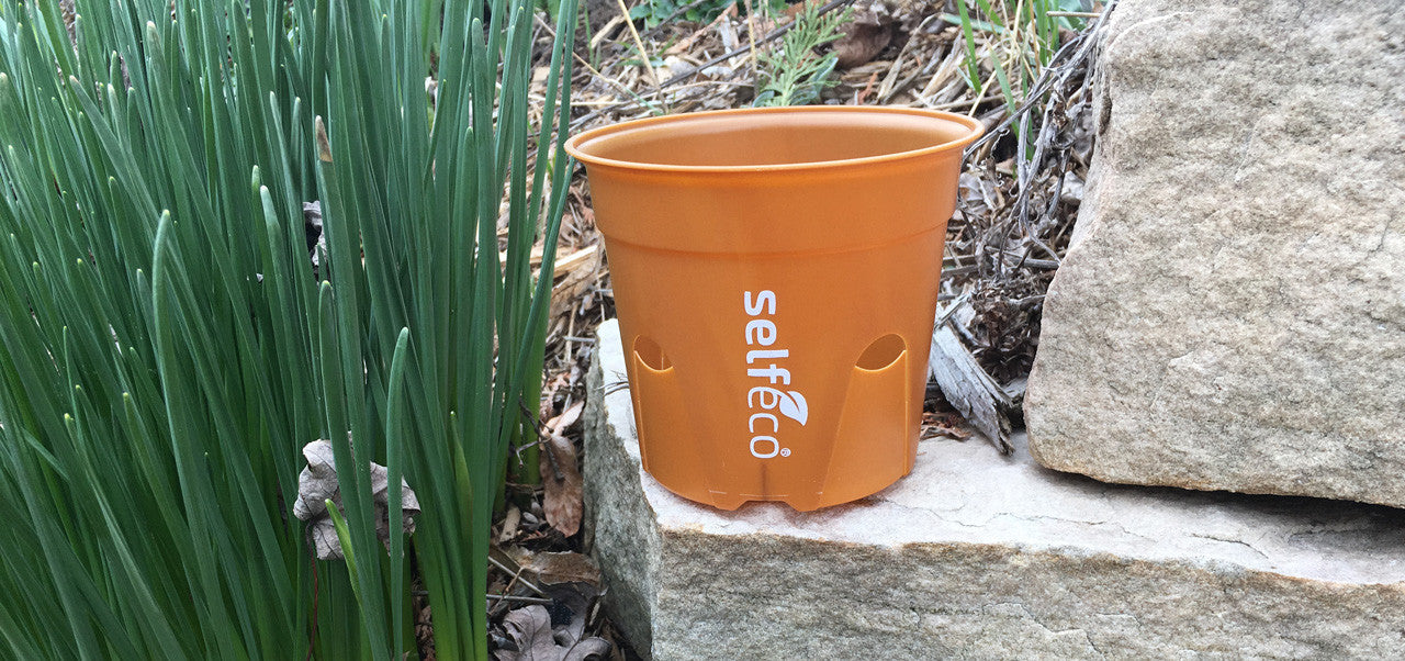 Product Update, Kickstarter Shipping Date, Pics and More!