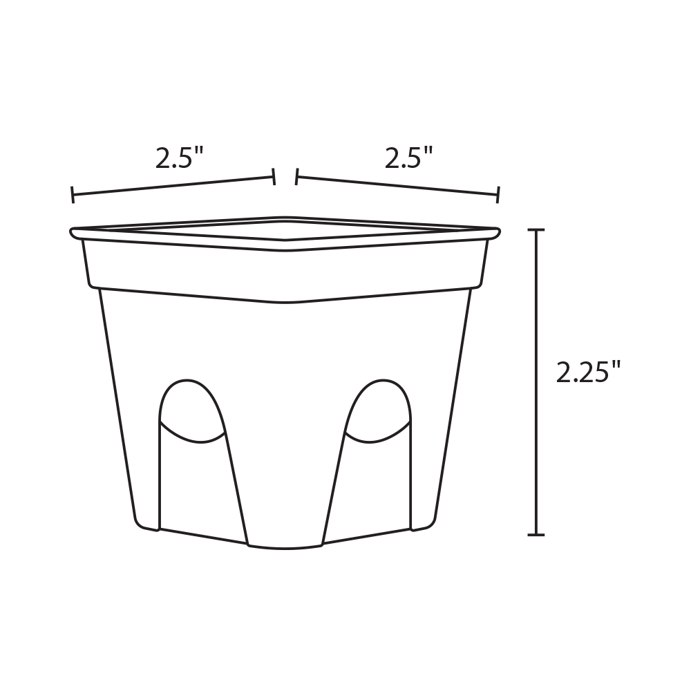 2" Square - Compostable Seed Starting Garden Pots - 6 Pack-SelfEco Garden