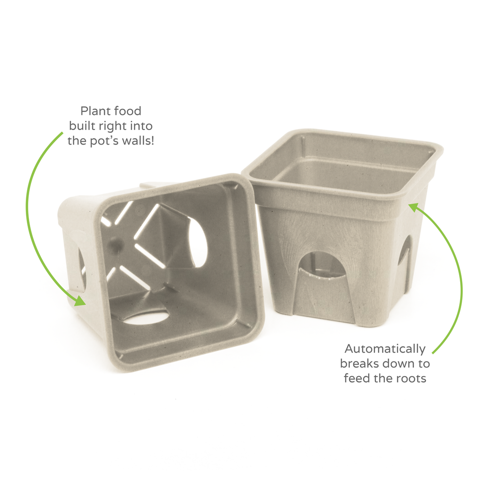 2" Square - Compostable Seed Starting Garden Pots - 6 Pack-SelfEco Garden