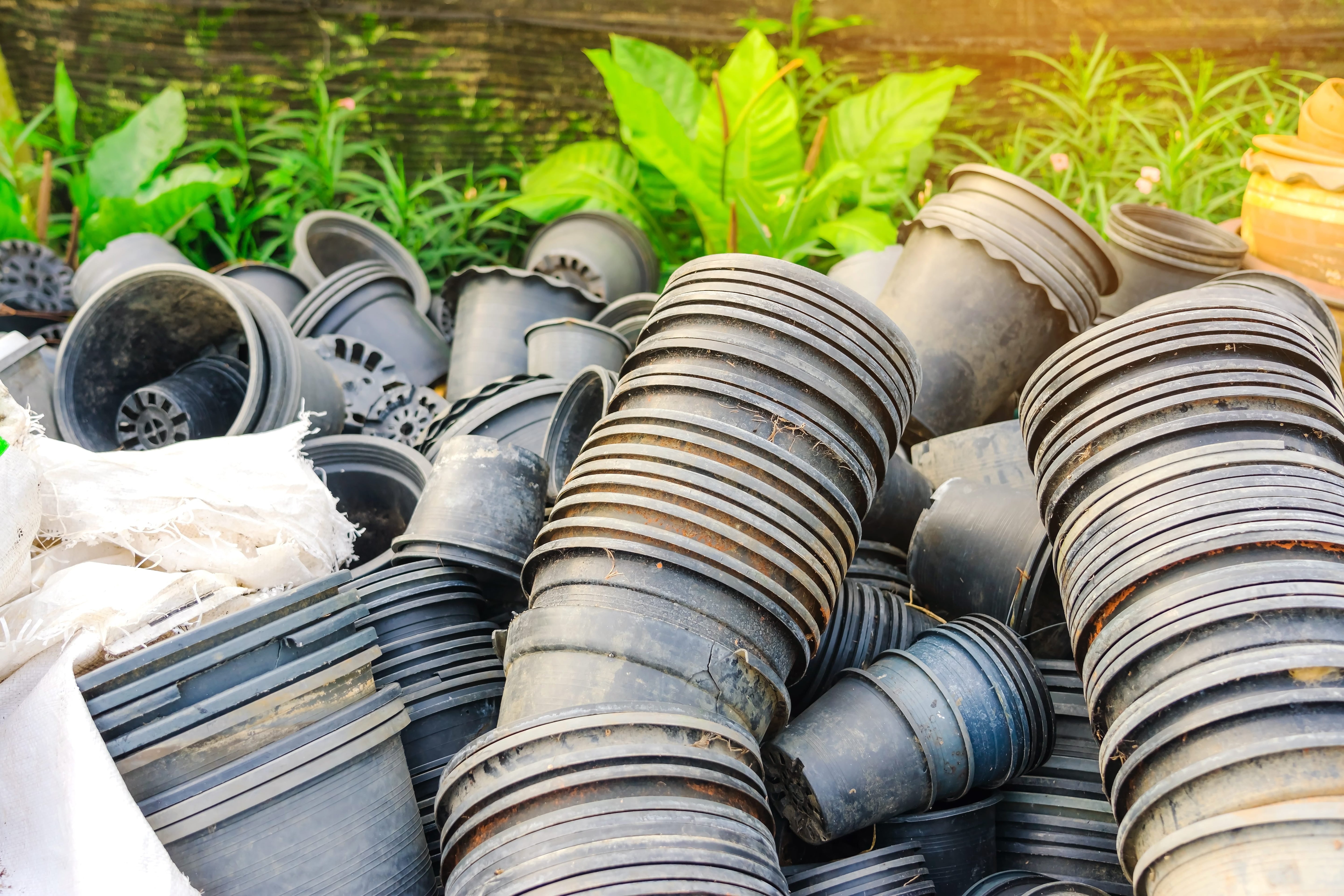 Rethinking the Garden Pot: Why What You Plant In Matters