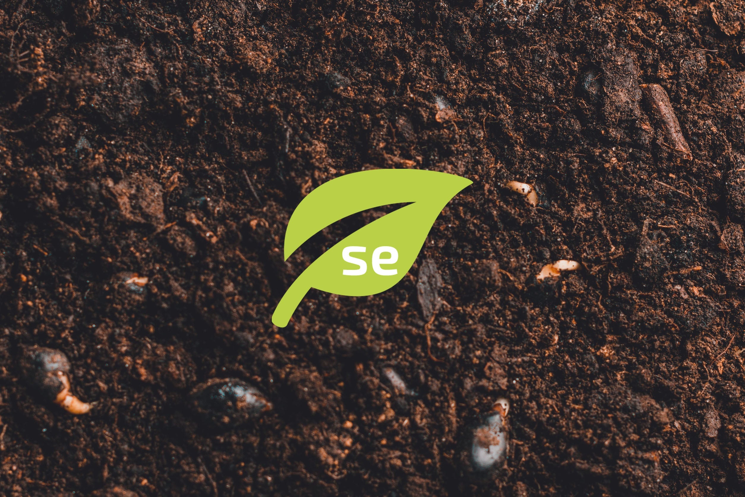 Tools for a Brighter Tomorrow: Building a More Sustainable Future, One Garden at a Time