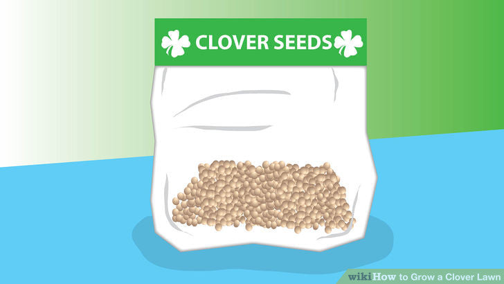 Happy St. Patrick's Day! – 6 Steps to Grow a Clover Lawn