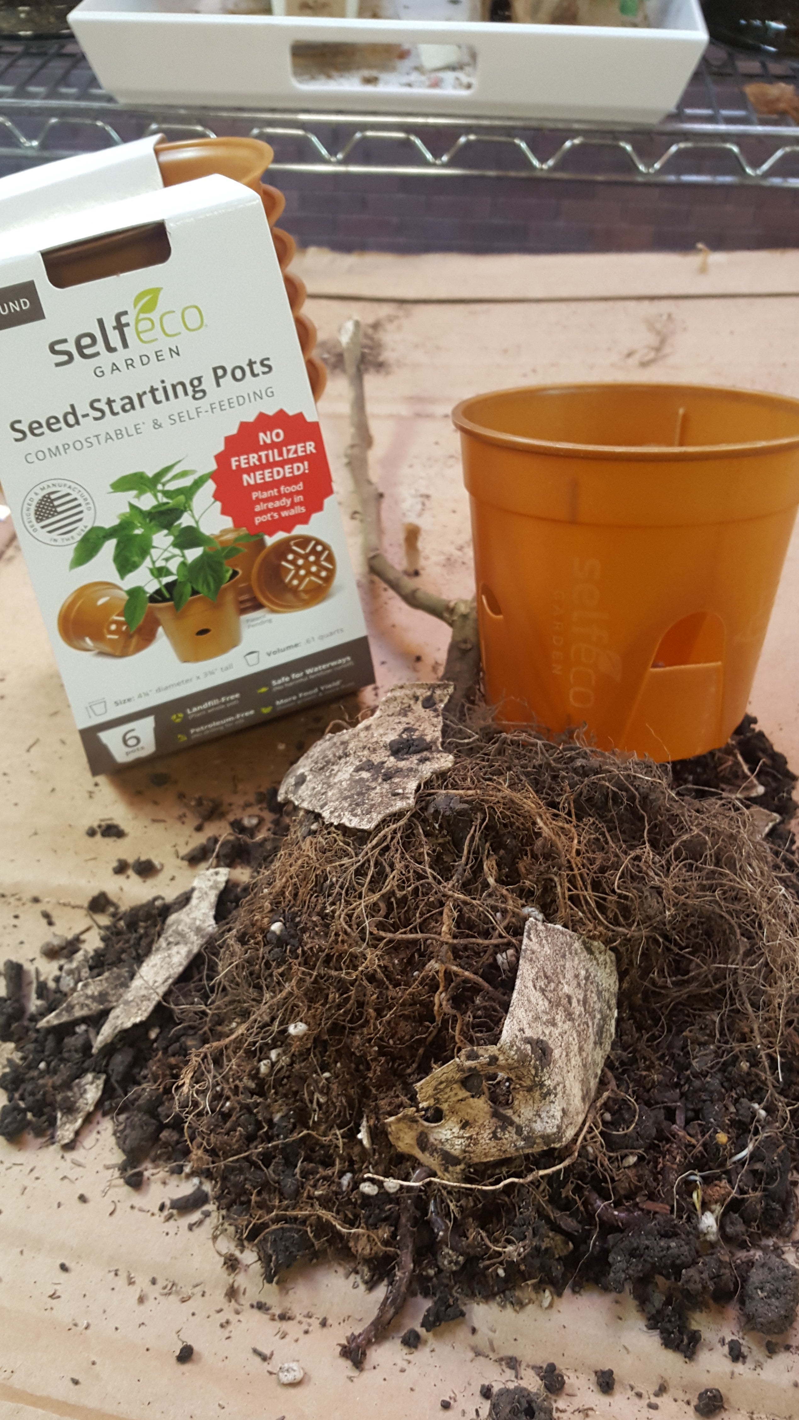 Why Dirt On My Desk Made My Day!