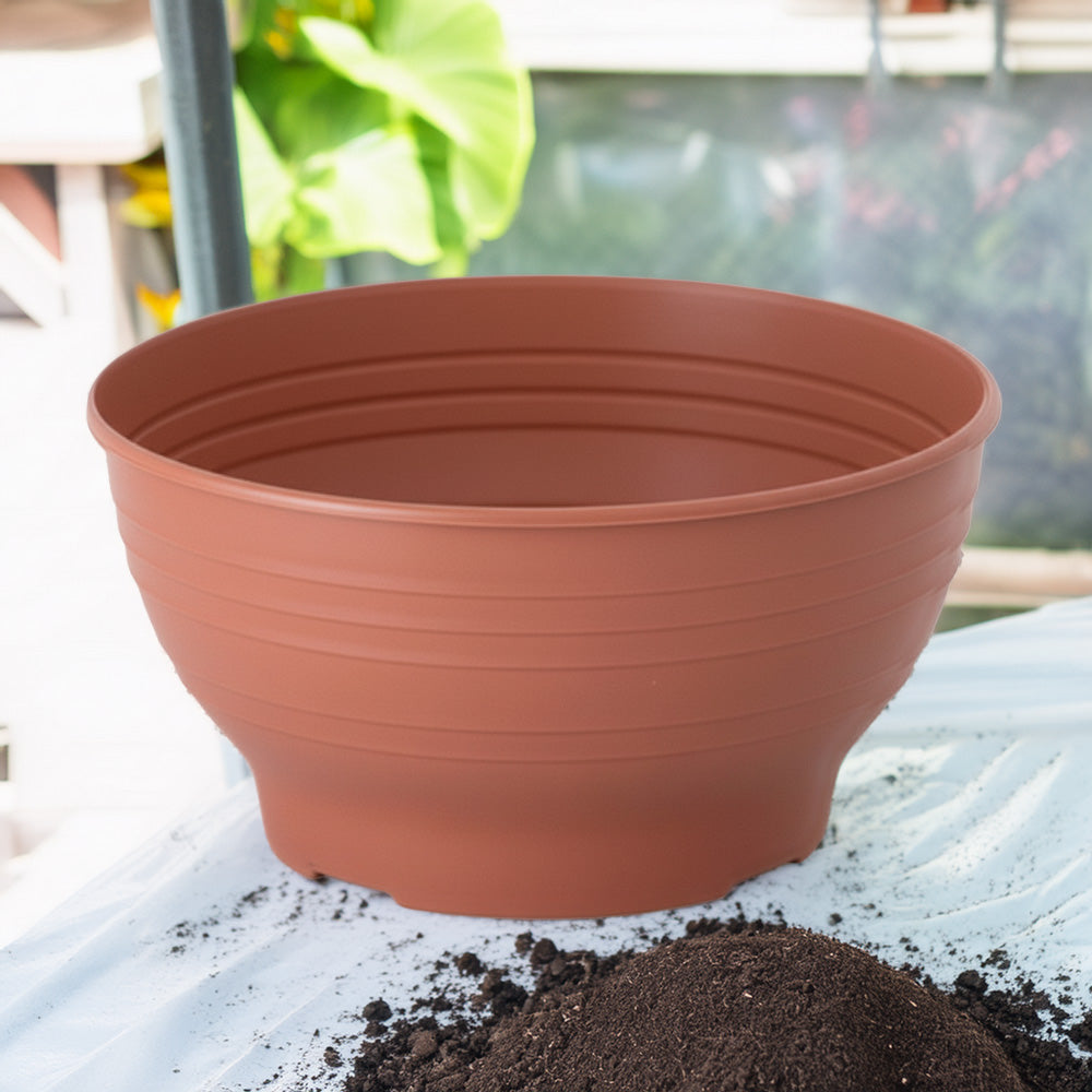 8" Santa Fe Bowl-SelfEco Garden