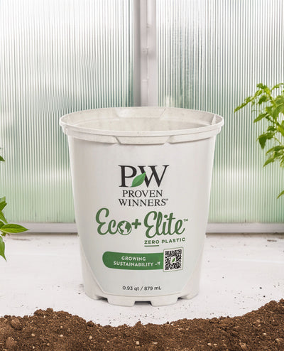 Eco+ 3.0 Quart Pot-SelfEco Garden