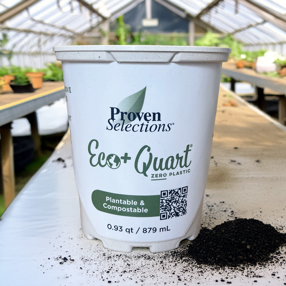 Eco+ 3.0 Quart Pot-SelfEco Garden