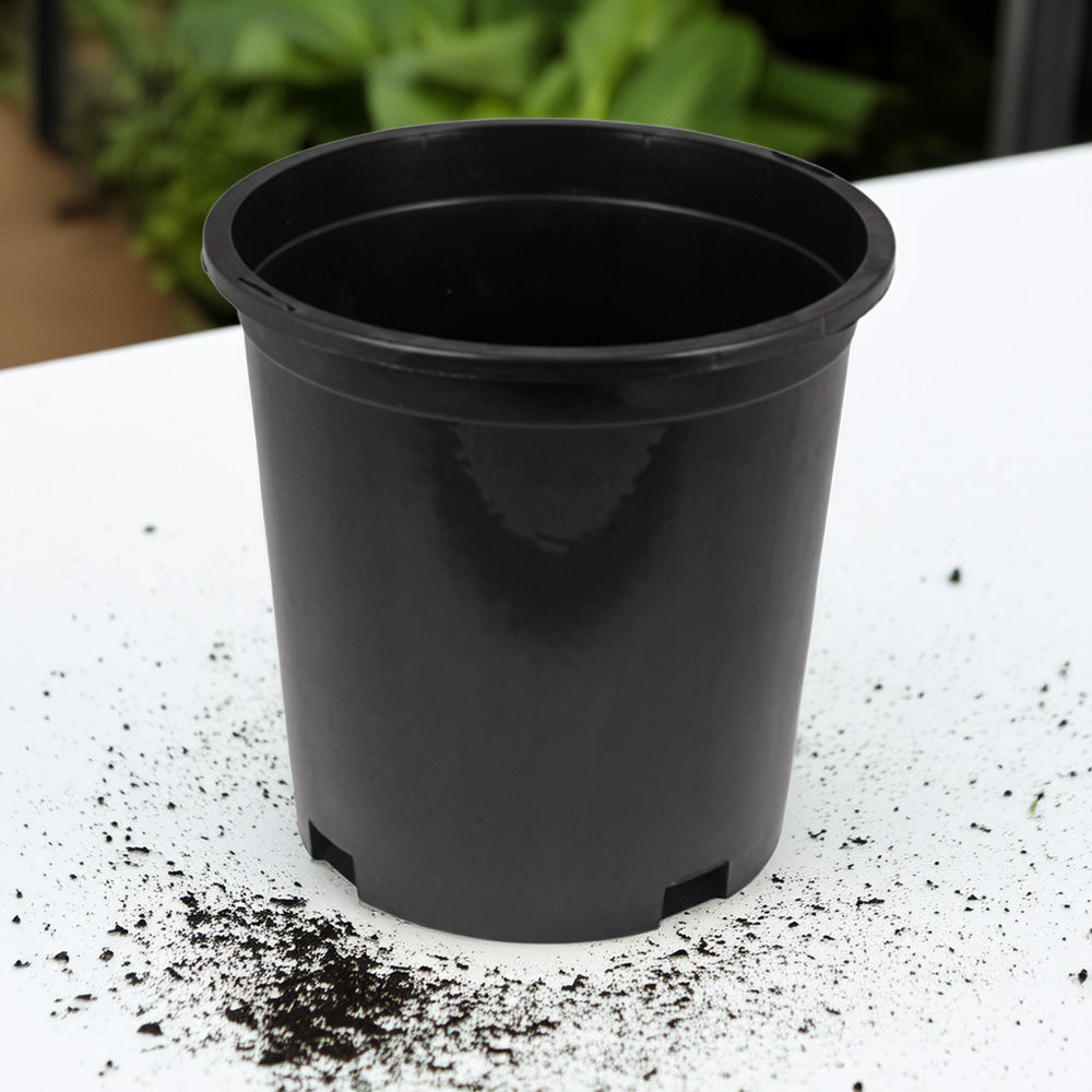 Short Injection Molded Container-SelfEco Garden